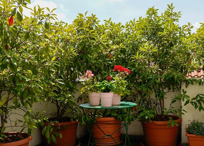 Terrace טורינו